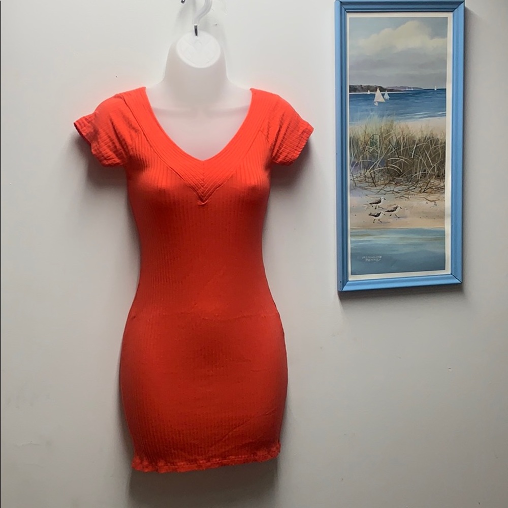 Iris Los Angeles tight dress